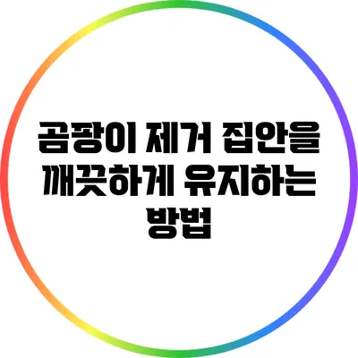 곰팡이 제거: 집안을 깨끗하게 유지하는 방법