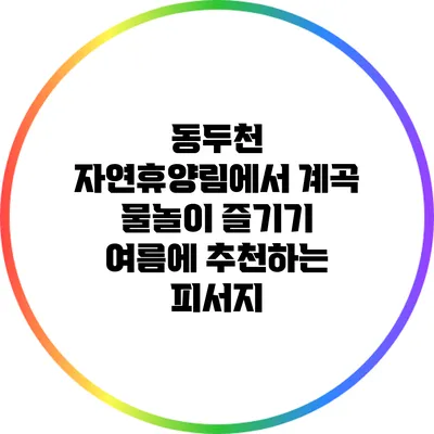 동두천 자연휴양림에서 계곡 물놀이 즐기기: 여름에 추천하는 피서지