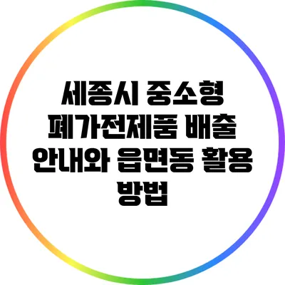 세종시 중소형 폐가전제품 배출 안내와 읍면동 활용 방법