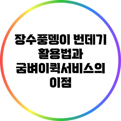 장수풍뎅이 번데기 활용법과 굼벼이퀵서비스의 이점