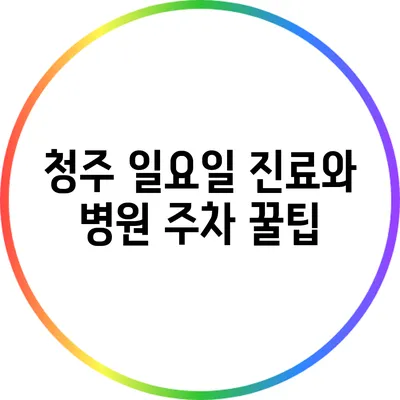 청주 일요일 진료와 병원 주차 꿀팁