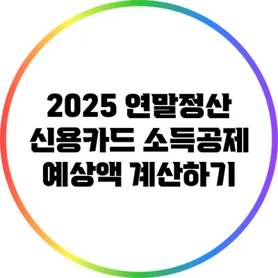 2025 연말정산 신용카드 소득공제 예상액 계산하기