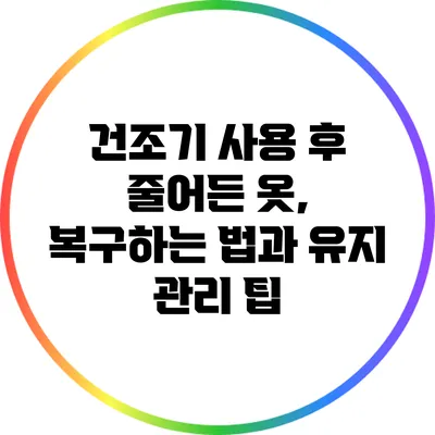 건조기 사용 후 줄어든 옷, 복구하는 법과 유지 관리 팁