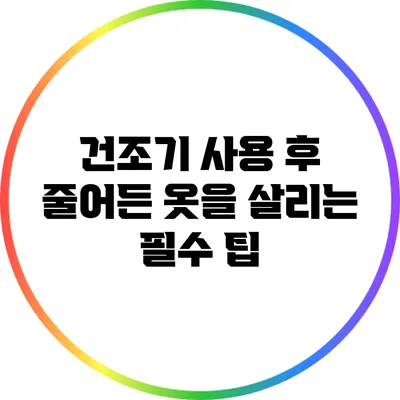 건조기 사용 후 줄어든 옷을 살리는 필수 팁