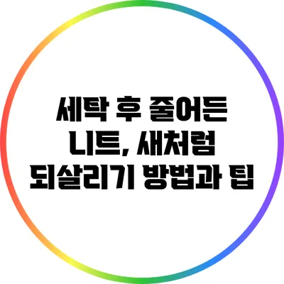 세탁 후 줄어든 니트, 새처럼 되살리기 방법과 팁