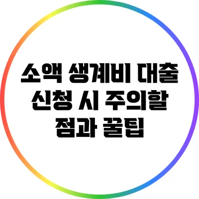 소액 생계비 대출 신청 시 주의할 점과 꿀팁