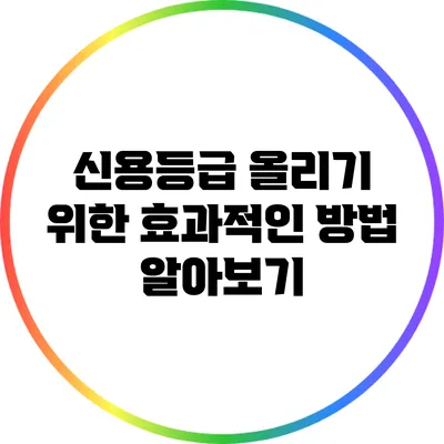 신용등급 올리기 위한 효과적인 방법 알아보기