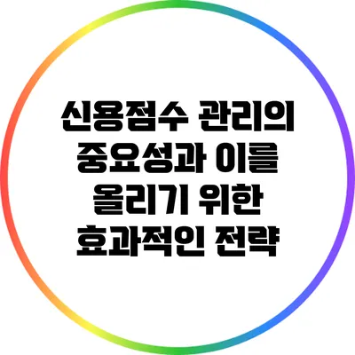 신용점수 관리의 중요성과 이를 올리기 위한 효과적인 전략