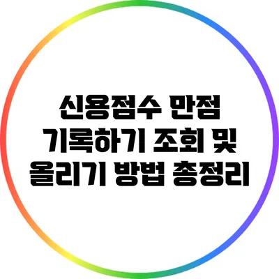 신용점수 만점 기록하기: 조회 및 올리기 방법 총정리