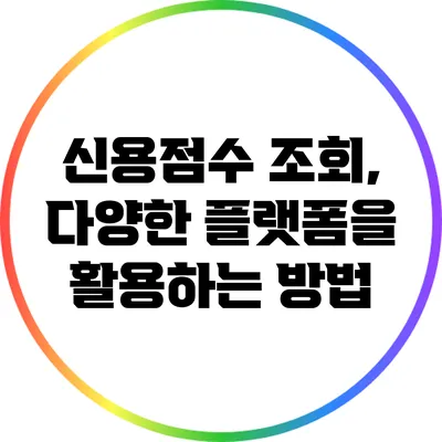 신용점수 조회, 다양한 플랫폼을 활용하는 방법