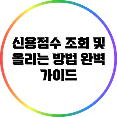 신용점수 조회 및 올리는 방법 완벽 가이드