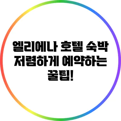 엘리에나 호텔 숙박 저렴하게 예약하는 꿀팁!