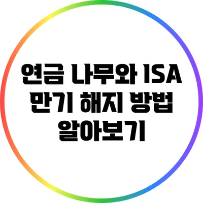 연금 나무와 ISA 만기 해지 방법 알아보기