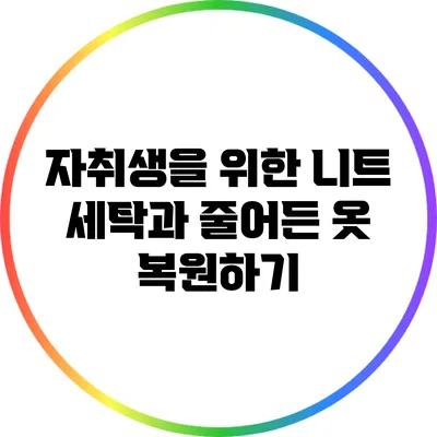자취생을 위한 니트 세탁과 줄어든 옷 복원하기