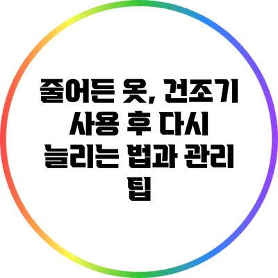 줄어든 옷, 건조기 사용 후 다시 늘리는 법과 관리 팁