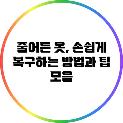 줄어든 옷, 손쉽게 복구하는 방법과 팁 모음