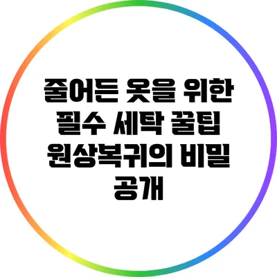 줄어든 옷을 위한 필수 세탁 꿀팁: 원상복귀의 비밀 공개