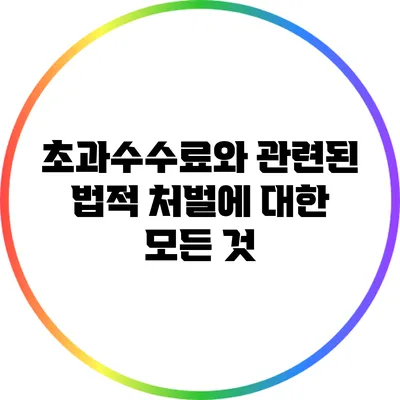 초과수수료와 관련된 법적 처벌에 대한 모든 것