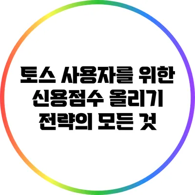토스 사용자를 위한 신용점수 올리기 전략의 모든 것