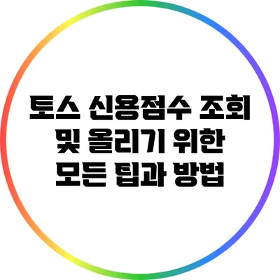 토스 신용점수 조회 및 올리기 위한 모든 팁과 방법