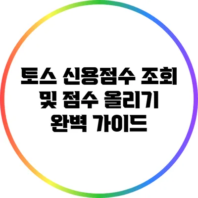 토스 신용점수 조회 및 점수 올리기 완벽 가이드