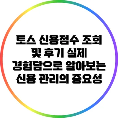 토스 신용점수 조회 및 후기: 실제 경험담으로 알아보는 신용 관리의 중요성