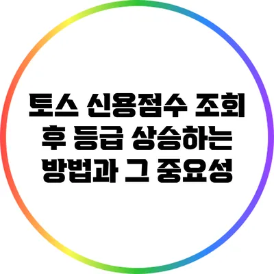 토스 신용점수 조회 후 등급 상승하는 방법과 그 중요성