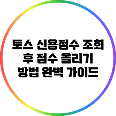 토스 신용점수 조회 후 점수 올리기 방법 완벽 가이드