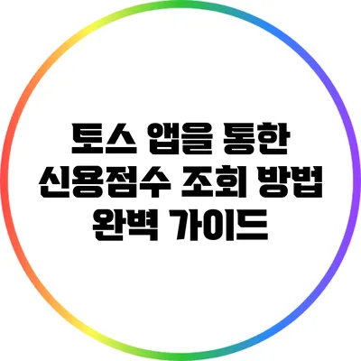 토스 앱을 통한 신용점수 조회 방법 완벽 가이드