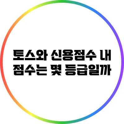 토스와 신용점수: 내 점수는 몇 등급일까?