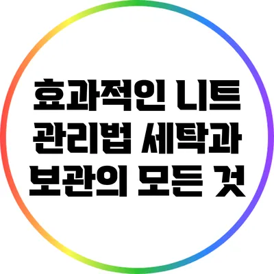 효과적인 니트 관리법: 세탁과 보관의 모든 것