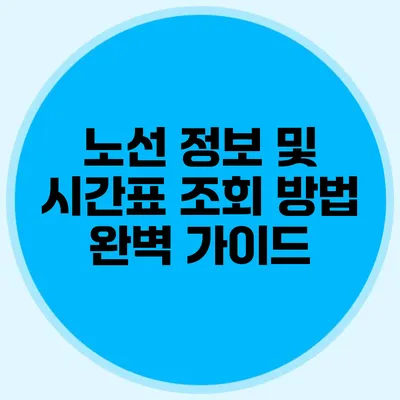 노선 정보 및 시간표 조회 방법 완벽 가이드