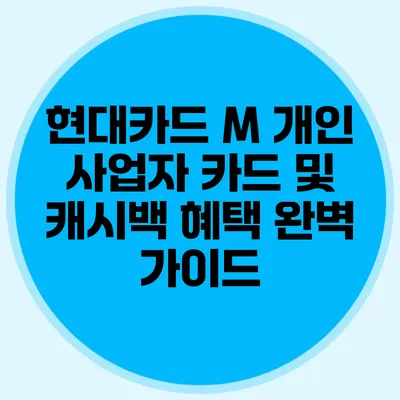 현대카드 M 개인 사업자 카드 및 캐시백 혜택 완벽 가이드