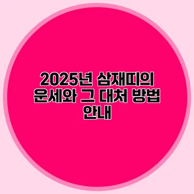 2025년 삼재띠의 운세와 그 대처 방법 안내