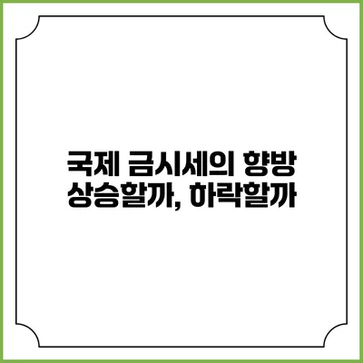 국제 금시세의 향방: 상승할까, 하락할까?