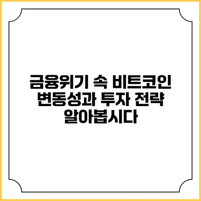 금융위기 속 비트코인 변동성과 투자 전략: 알아봅시다