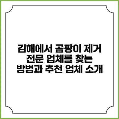 김해에서 곰팡이 제거 전문 업체를 찾는 방법과 추천 업체 소개