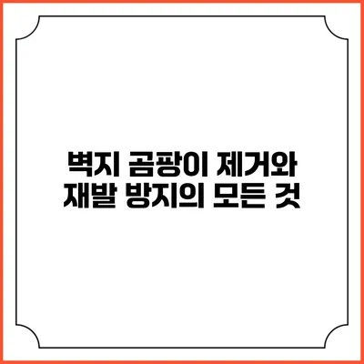 벽지 곰팡이 제거와 재발 방지의 모든 것