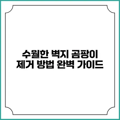 수월한 벽지 곰팡이 제거 방법 완벽 가이드