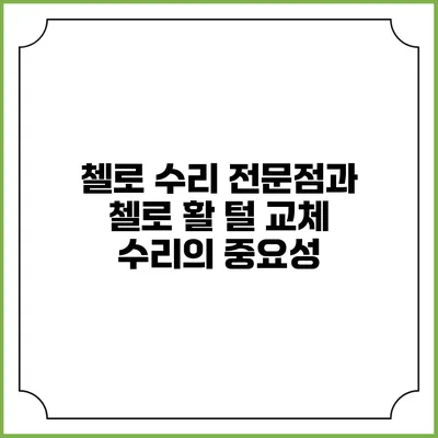 첼로 수리 전문점과 첼로 활 털 교체 수리의 중요성