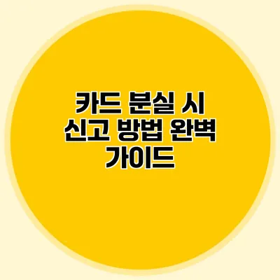 카드 분실 시 신고 방법 완벽 가이드