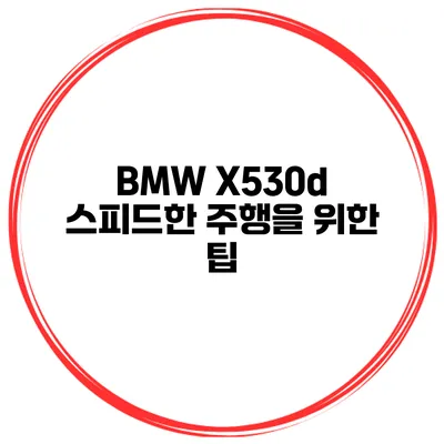 BMW X530d 스피드한 주행을 위한 팁