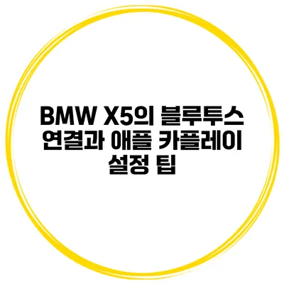 BMW X5의 블루투스 연결과 애플 카플레이 설정 팁