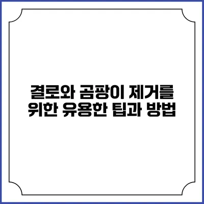 결로와 곰팡이 제거를 위한 유용한 팁과 방법