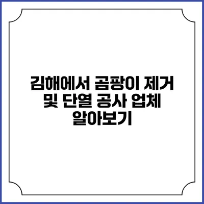 김해에서 곰팡이 제거 및 단열 공사 업체 알아보기