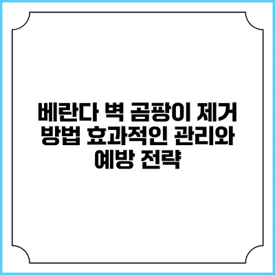 베란다 벽 곰팡이 제거 방법: 효과적인 관리와 예방 전략