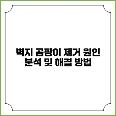 벽지 곰팡이 제거: 원인 분석 및 해결 방법