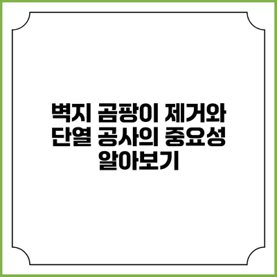 벽지 곰팡이 제거와 단열 공사의 중요성 알아보기