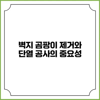 벽지 곰팡이 제거와 단열 공사의 중요성