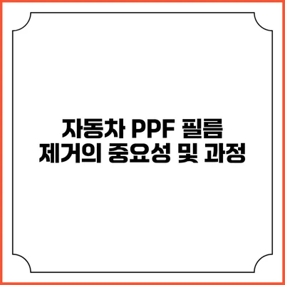 자동차 PPF 필름 제거의 중요성 및 과정